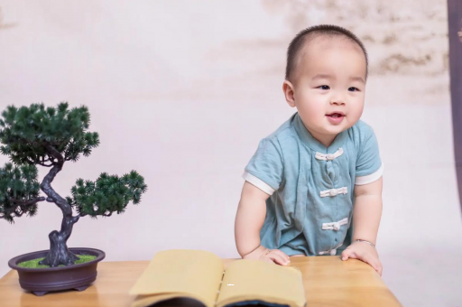 华容可爱的企鹅宝宝